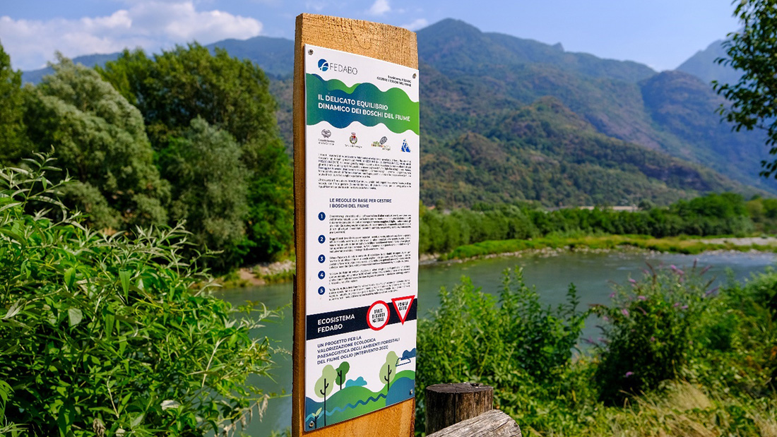 ecosistema fedabo un progetto per proteggere e conservare le nostre foreste 01