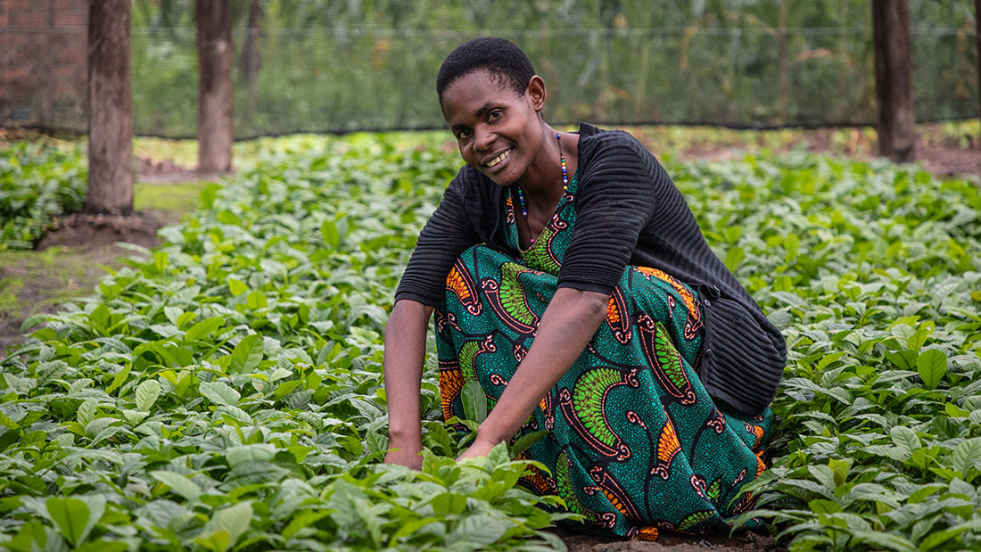 progetto mwanyi la filiera del caffe diventa opportunita di emancipazione per giovani e donne in uganda img 01